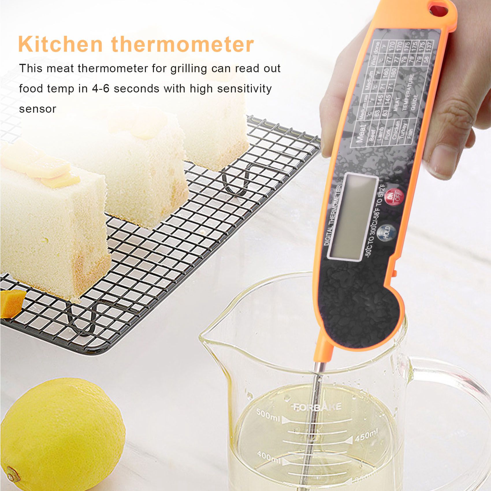 Digitale direct afleesbare vle - Digital Thermometer Probe recensie en prijs