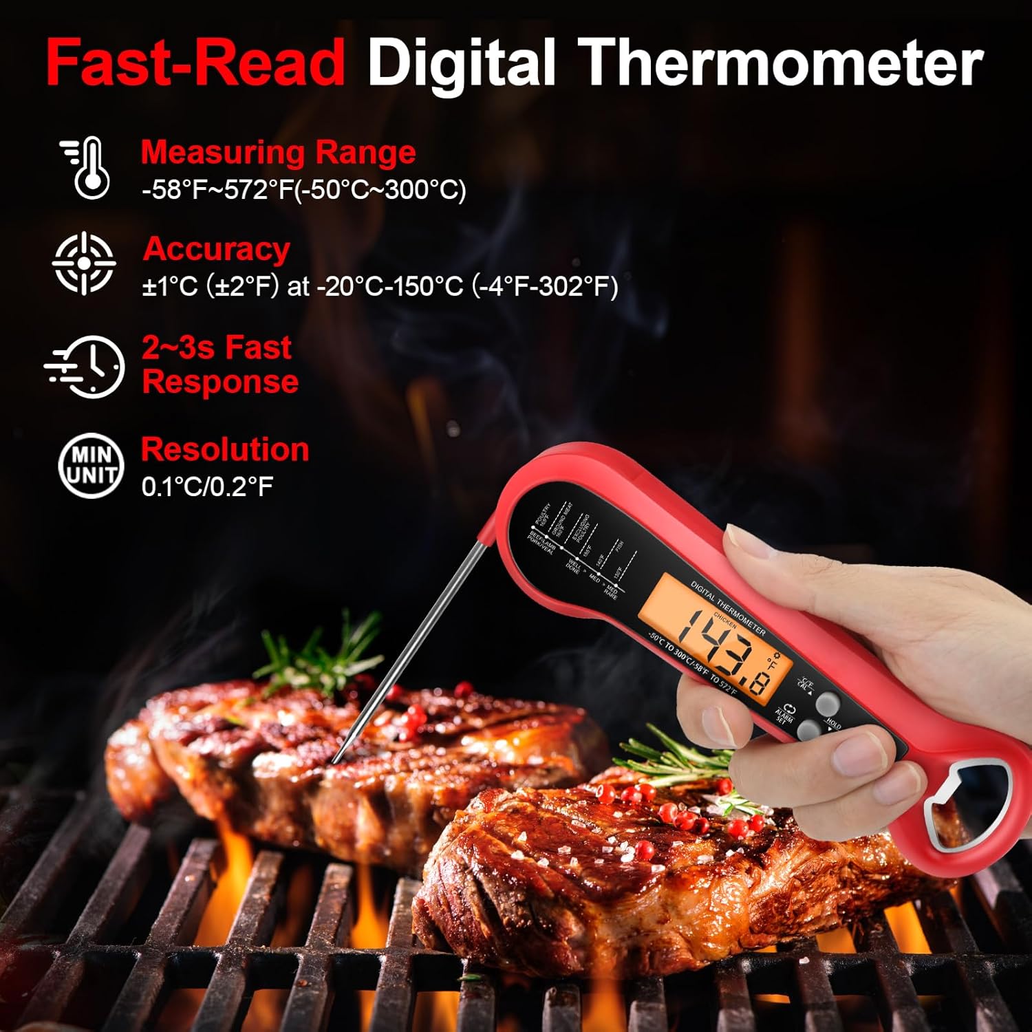 Professionele digitale vleesth - Digital Thermometer Probe recensie en prijs